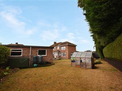 Picture 24